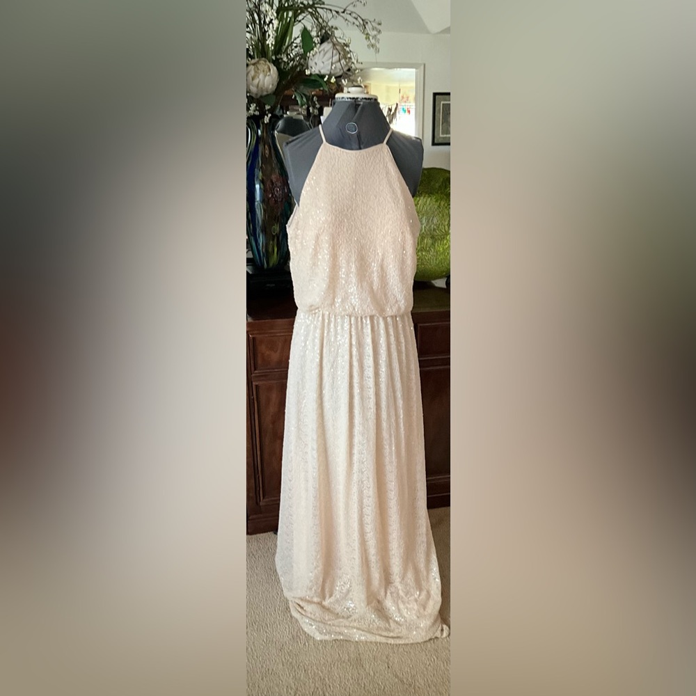 Bill Levkoff Blush Sequin Maxi Dress